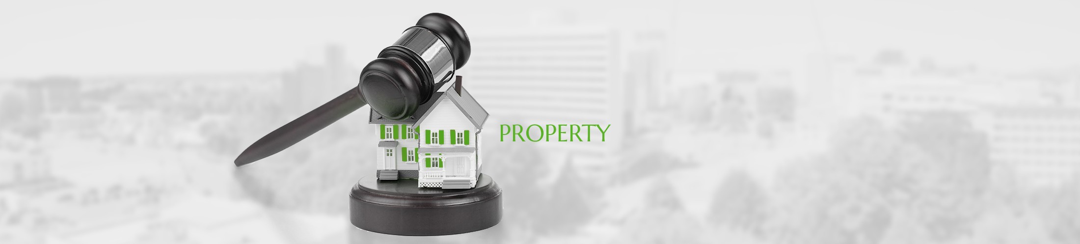Property Law. Sinisa Law.