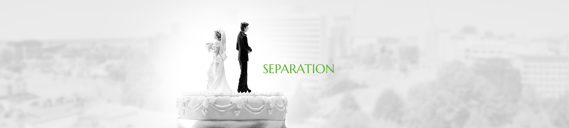 Family Law. Sinisa Law.